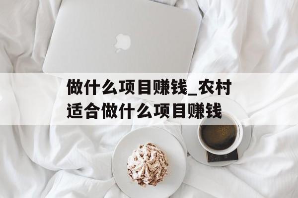 做什么项目赚钱_农村适合做什么项目赚钱