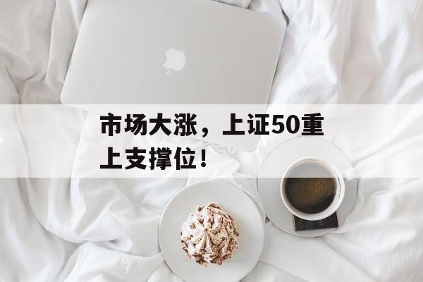 市场大涨,上证50重上支撑位! 市场大涨,上证50重上支撑位!