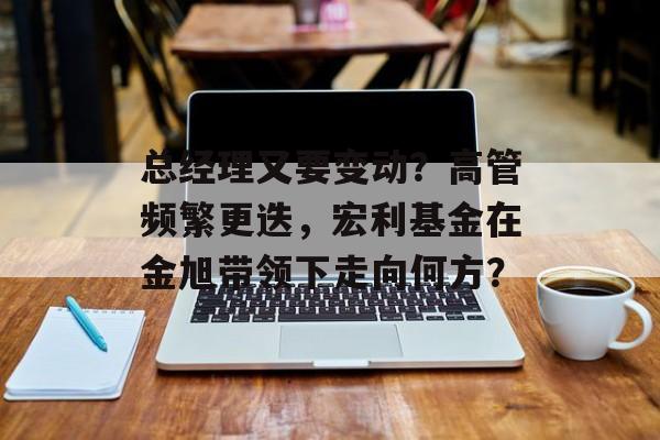总经理又要变动？高管频繁更迭，宏利基金在金旭带领下走向何方？