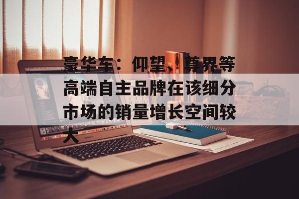 豪华车:仰望、尊界等高端自主品牌在该细分市场的销量增长空间较大 豪华车:仰望、尊界等高端自主品牌在该细分市场的销量增长空间较大