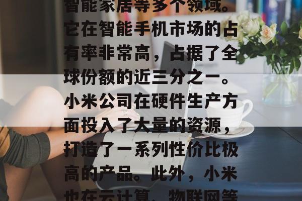 小米公司做的是一个多元化的产品线，涉及手机、电视、生活家电、智能家居等多个领域。它在智能手机市场的占有率非常高，占据了全球份额的近三分之一。小米公司在硬件生产方面投入了大量的资源，打造了一系列性价比极高的产品。此外，小米也在云计算、物联网等领域有所布局。，小米公司多元化的业务布局及高市场份额分析