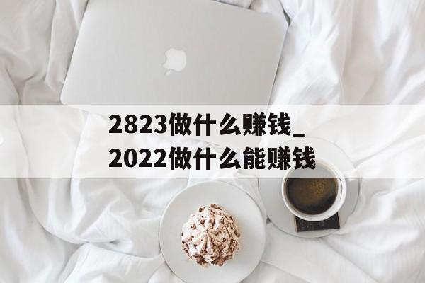2823做什么赚钱_2022做什么能赚钱