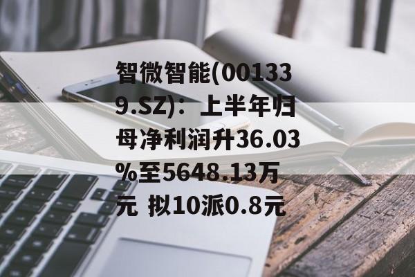 智微智能(001339.SZ):上半年归母净利润升36.03%至5648.13万元 拟10派0.8元 智微智能(001339.SZ):上半年归母净利润升36.03%至5648.13万元 拟10派0.8元