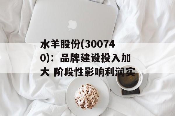 水羊股份(300740)：品牌建设投入加大 阶段性影响利润实