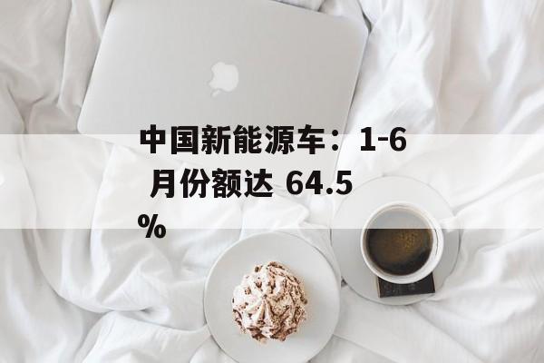 中国新能源车:1-6 月份额达 64.5% 中国新能源车:1-6 月份额达 64.5%