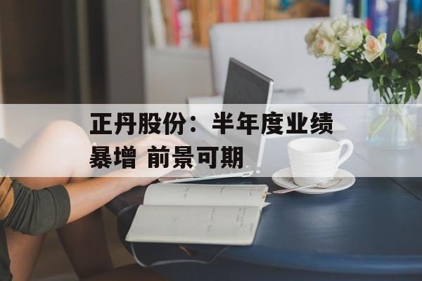 正丹股份:半年度业绩暴增 前景可期 正丹股份:半年度业绩暴增 前景可期