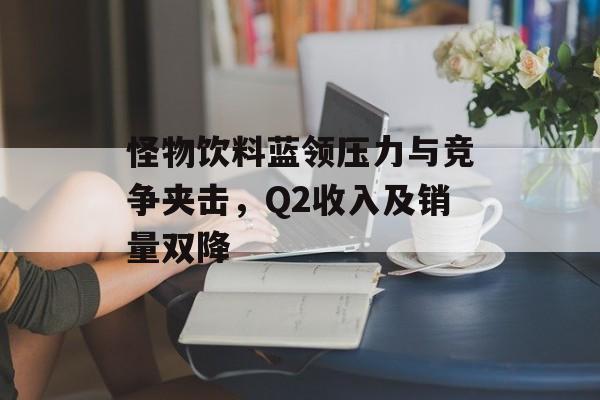怪物饮料蓝领压力与竞争夹击，Q2收入及销量双降