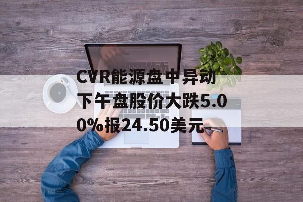 CVR能源盘中异动 下午盘股价大跌5.00%报24.50美元