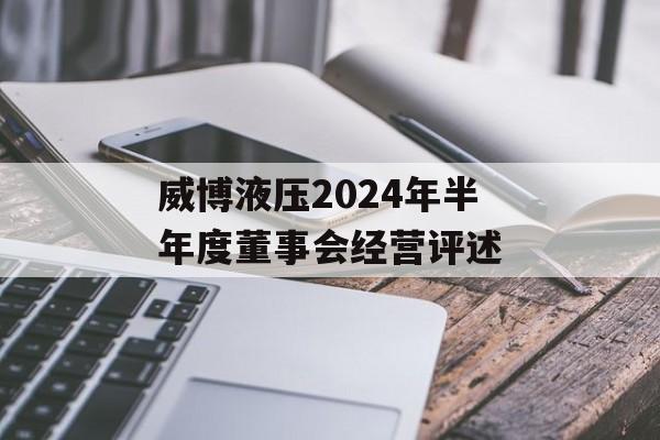 威博液压2024年半年度董事会经营评述 威博液压2024年半年度董事会经营评述