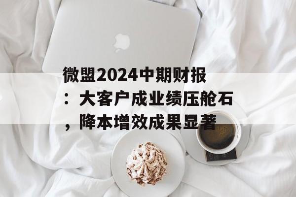微盟2024中期财报：大客户成业绩压舱石，降本增效成果显著