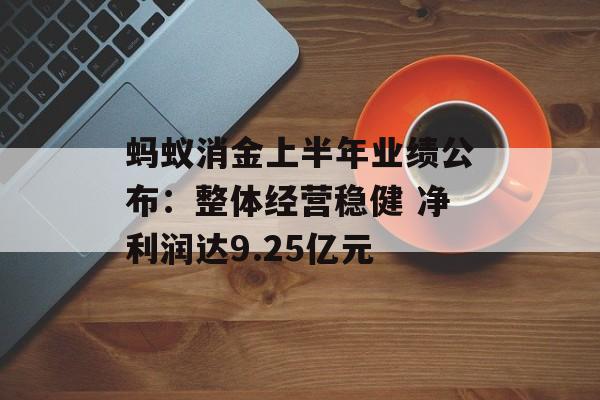 蚂蚁消金上半年业绩公布:整体经营稳健 净利润达9.25亿元 蚂蚁消金上半年业绩公布:整体经营稳健 净利润达9.25亿元