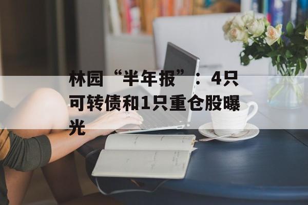林园“半年报”:4只可转债和1只重仓股曝光 林园“半年报”:4只可转债和1只重仓股曝光