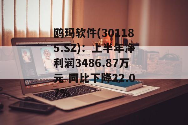 鸥玛软件(301185.SZ):上半年净利润3486.87万元 同比下降22.07% 鸥玛软件(301185.SZ):上半年净利润3486.87万元 同比下降22.07%