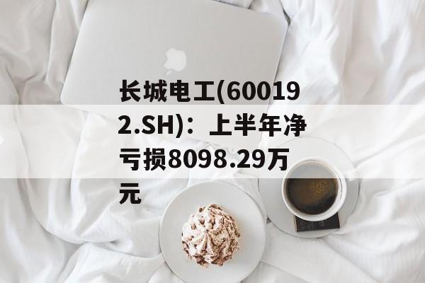 长城电工(600192.SH):上半年净亏损8098.29万元 长城电工(600192.SH):上半年净亏损8098.29万元