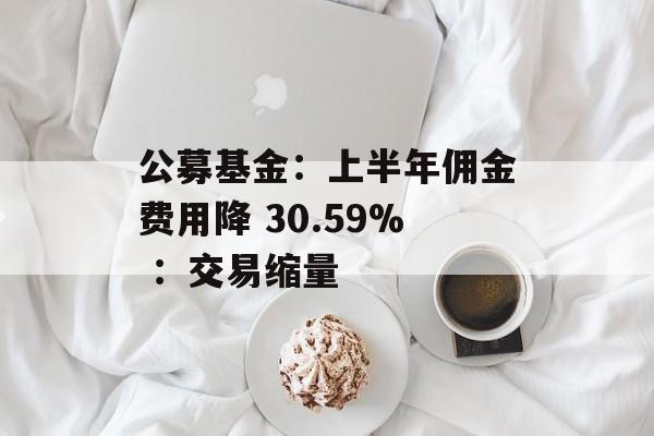 公募基金：上半年佣金费用降 30.59% ：交易缩量