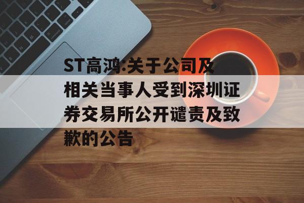 ST高鸿:关于公司及相关当事人受到深圳证券交易所公开谴责及致歉的公告 ST高鸿:关于公司及相关当事人受到深圳证券交易所公开谴责及致歉的公告