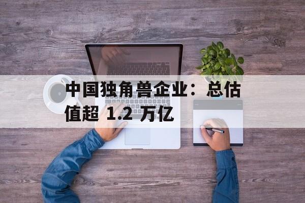 中国独角兽企业：总估值超 1.2 万亿
