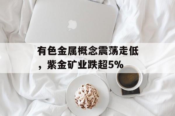 有色金属概念震荡走低，紫金矿业跌超5%