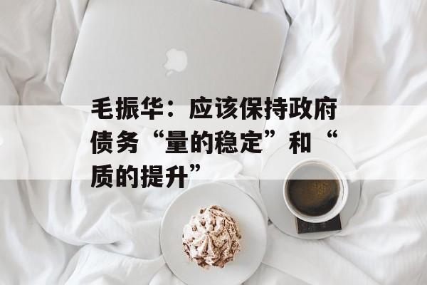 毛振华:应该保持政府债务“量的稳定”和“质的提升” 毛振华:应该保持政府债务“量的稳定”和“质的提升”