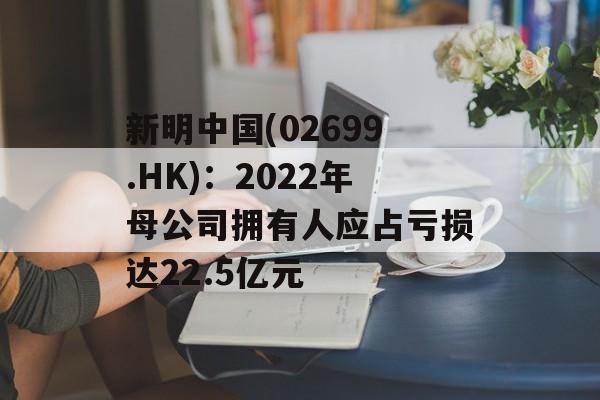 新明中国(02699.HK)：2022年母公司拥有人应占亏损达22.5亿元