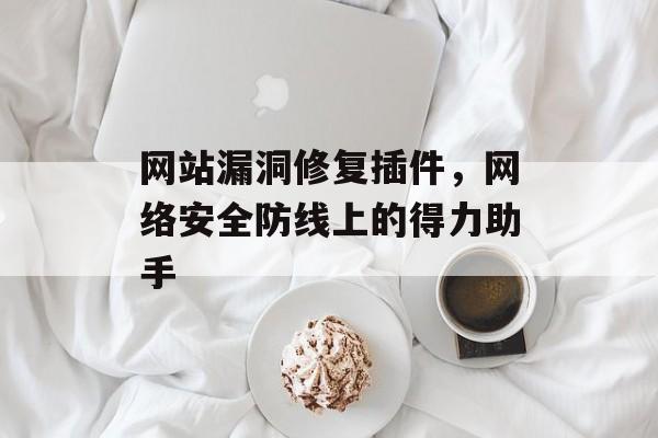 网站漏洞修复插件，网络安全防线上的得力助手