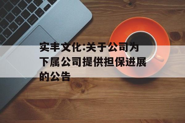 实丰文化:关于公司为下属公司提供担保进展的公告