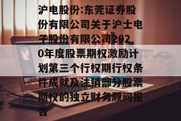 沪电股份:东莞证券股份有限公司关于沪士电子股份有限公司2020年度股票期权激励计划第三个行权期行权条件成就及注销部分股票期权的独立财务顾问报告