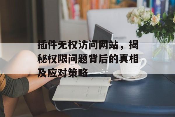 插件无权访问网站，揭秘权限问题背后的真相及应对策略