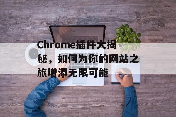 Chrome插件大揭秘，如何为你的网站之旅增添无限可能