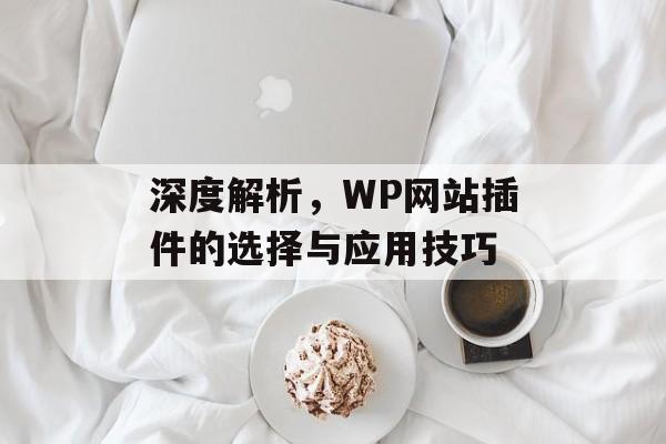深度解析，WP网站插件的选择与应用技巧