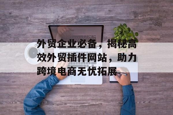 外贸企业必备，揭秘高效外贸插件网站，助力跨境电商无忧拓展