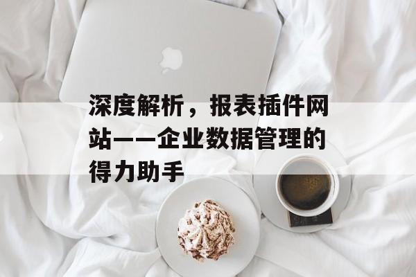 深度解析，报表插件网站——企业数据管理的得力助手