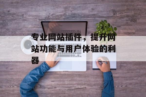 专业网站插件，提升网站功能与用户体验的利器