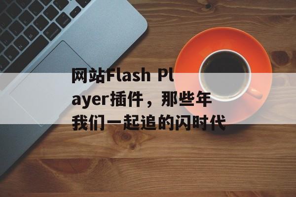 网站Flash Player插件，那些年我们一起追的闪时代