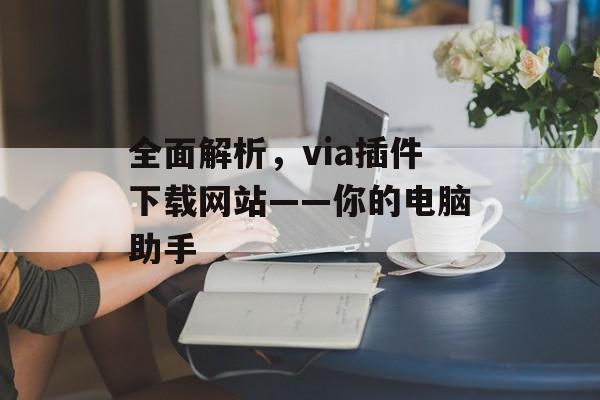全面解析，via插件下载网站——你的电脑助手