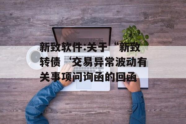 新致软件:关于“新致转债‘交易异常波动有关事项问询函的回函