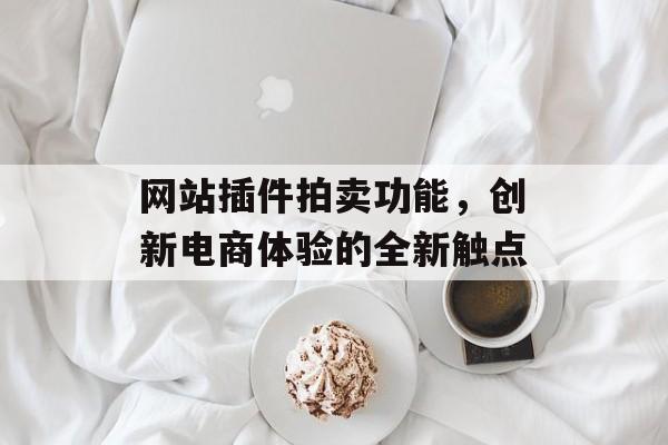 网站插件拍卖功能，创新电商体验的全新触点