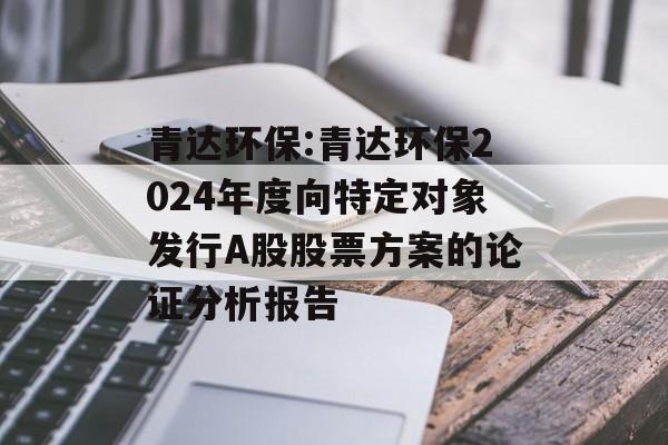 青达环保:青达环保2024年度向特定对象发行A股股票方案的论证分析报告