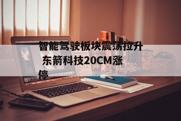 智能驾驶板块震荡拉升 东箭科技20CM涨停