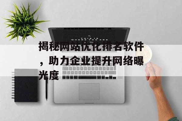 揭秘网站优化排名软件，助力企业提升网络曝光度