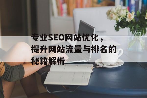 专业SEO网站优化,提升网站流量与排名的秘籍解析 专业SEO网站优化,提升网站流量与排名的秘籍解析
