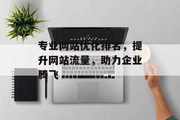 专业网站优化排名，提升网站流量，助力企业腾飞