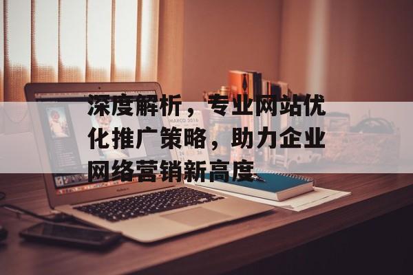 深度解析，专业网站优化推广策略，助力企业网络营销新高度