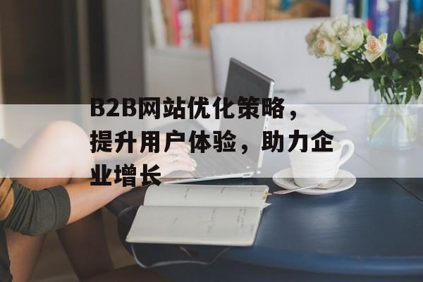 B2B网站优化策略，提升用户体验，助力企业增长