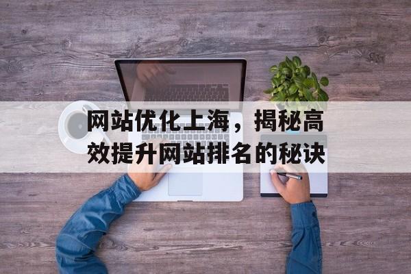 网站优化上海，揭秘高效提升网站排名的秘诀