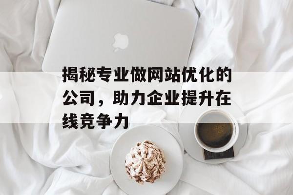 揭秘专业做网站优化的公司，助力企业提升在线竞争力