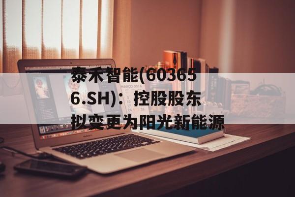 泰禾智能(603656.SH):控股股东拟变更为阳光新能源 泰禾智能(603656.SH):控股股东拟变更为阳光新能源