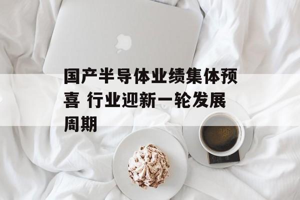 国产半导体业绩集体预喜 行业迎新一轮发展周期