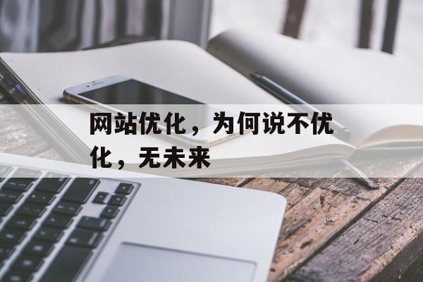 网站优化，为何说不优化，无未来