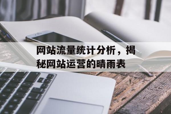 网站流量统计分析，揭秘网站运营的晴雨表